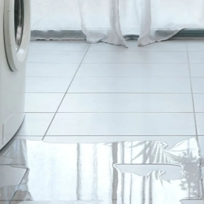 Appliance Leak Cleanup in White County, AR