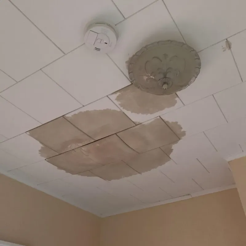 Ceiling Water Damage Repair in White County, AR