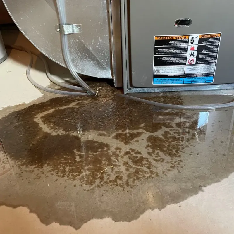 Pipe Burst and Leak Restoration in White County, AR
