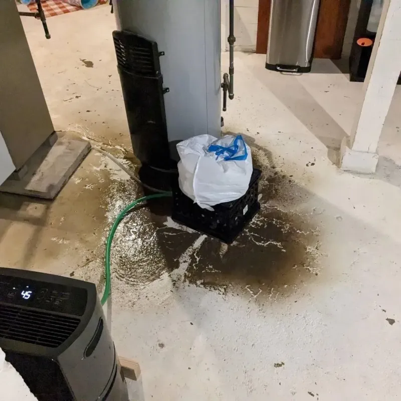 Sewage Backup Cleanup Service in White County, AR